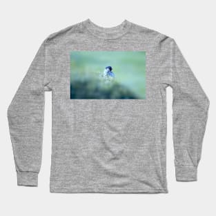 Outside my window Long Sleeve T-Shirt